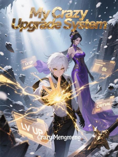 My Crazy Upgrade System