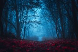 These Eldritch Hips – (Modbased)Litrpg