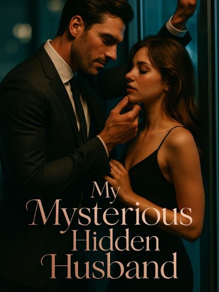 My Mysterious Hidden Husband